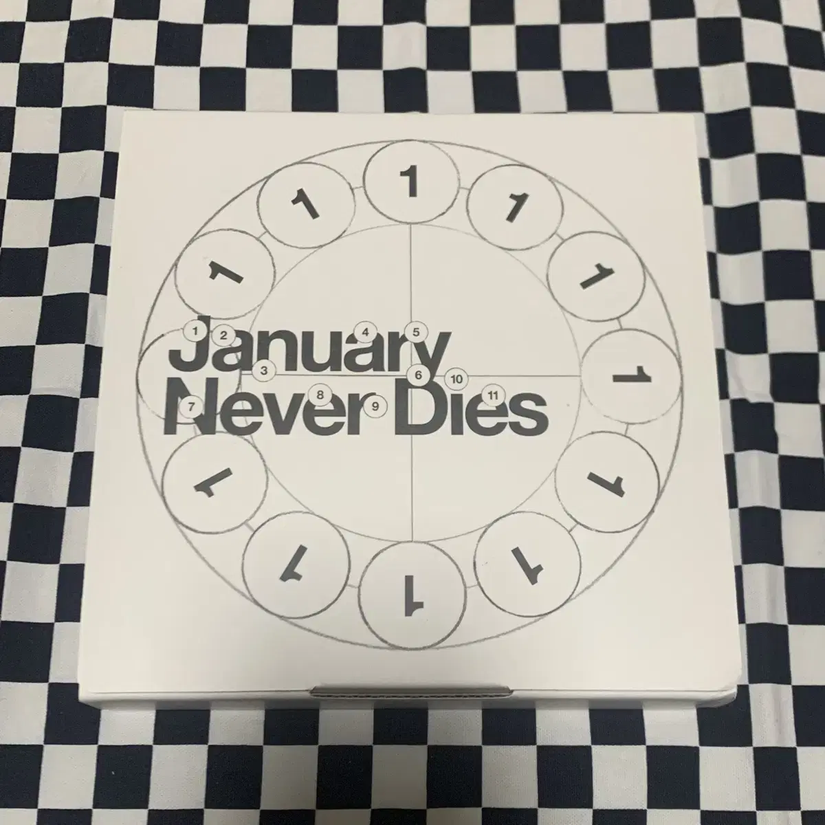 바밍타이거 January never dies 일월불사 앨범