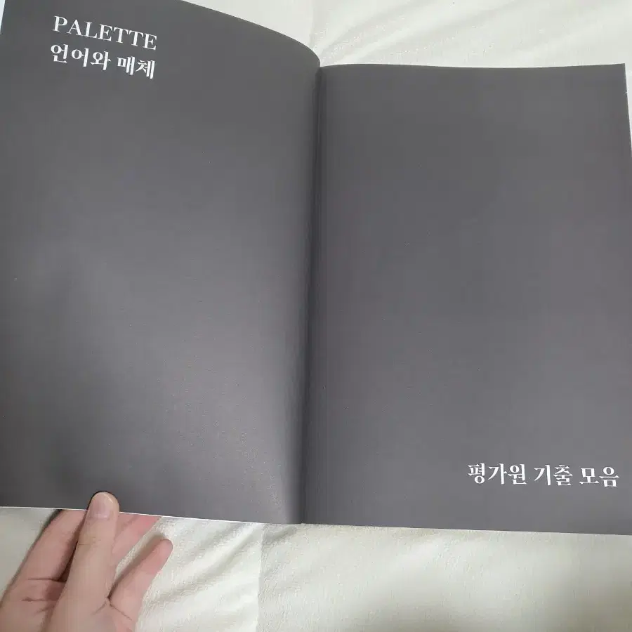 2025시대인재 윤지환 국어 언매 팔레트 palette