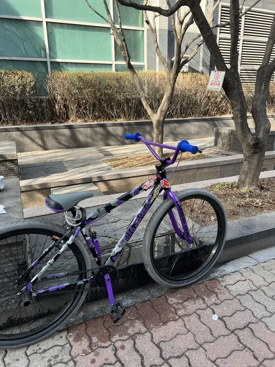 윌리바이크 sebike 빅플라이어 (판매만)