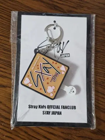 Stray Kids 스키즈 FC 한정판 핸 보이스 키링