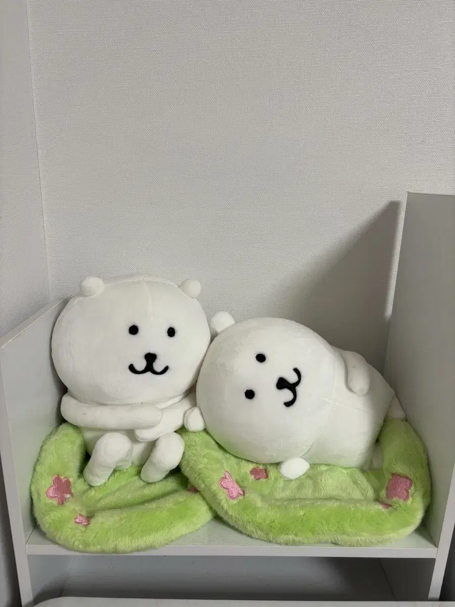 제습 농담곰 앉은 농담곰 누운 농담곰