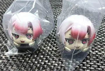 고양이 고양이 리락쿠라코로 아몬
