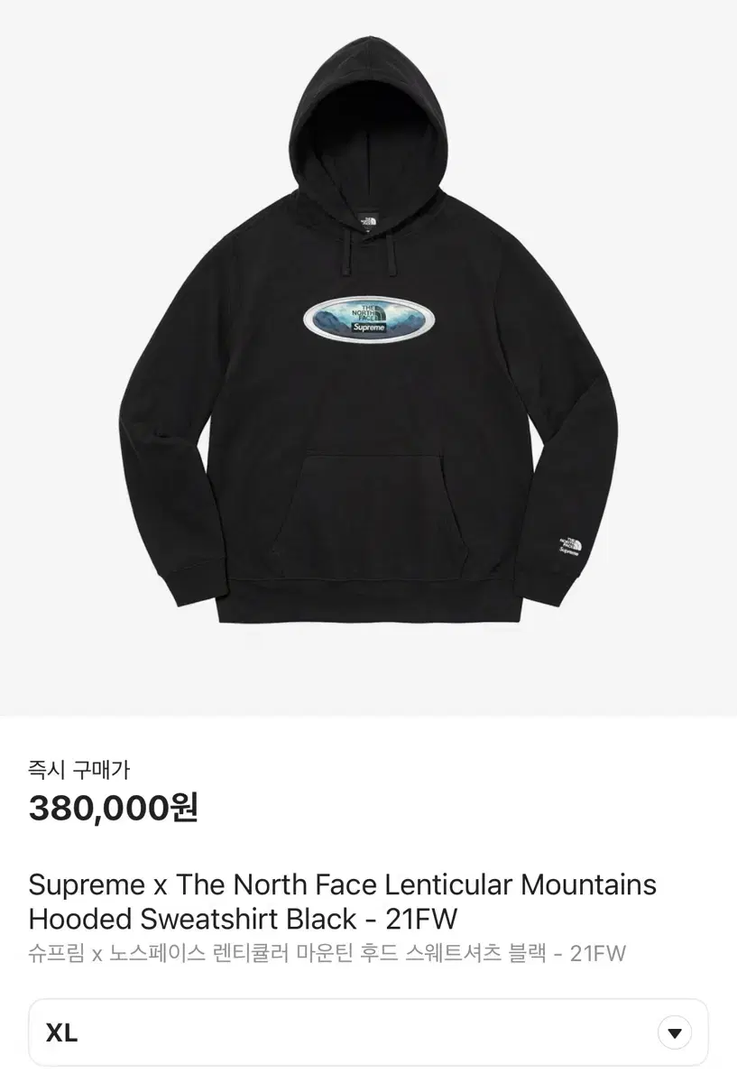 Supreme x The North Face lenticular Mountain Hooded Sweatshirt Black - 21FW