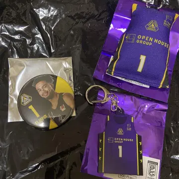 군마 크레인 샌더스 #1