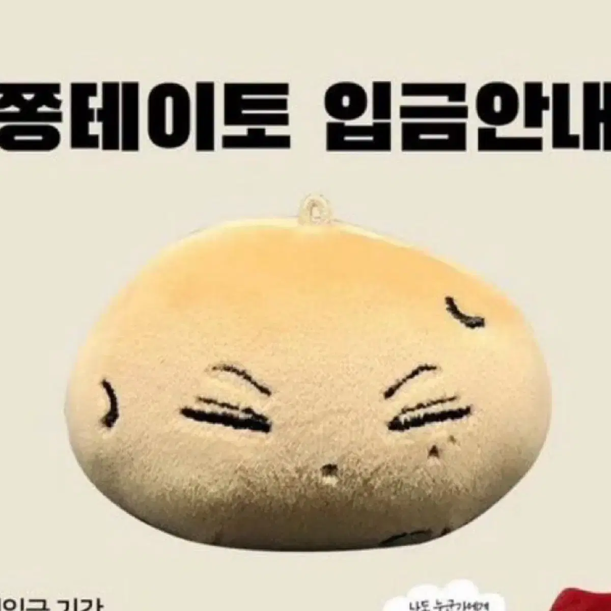 쫑테이토 엔하이픈 제이 인형