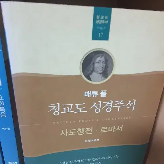 메튜폴 청교도 성경신약주석