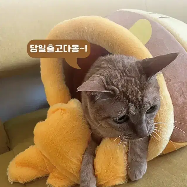 고양이 숨숨집