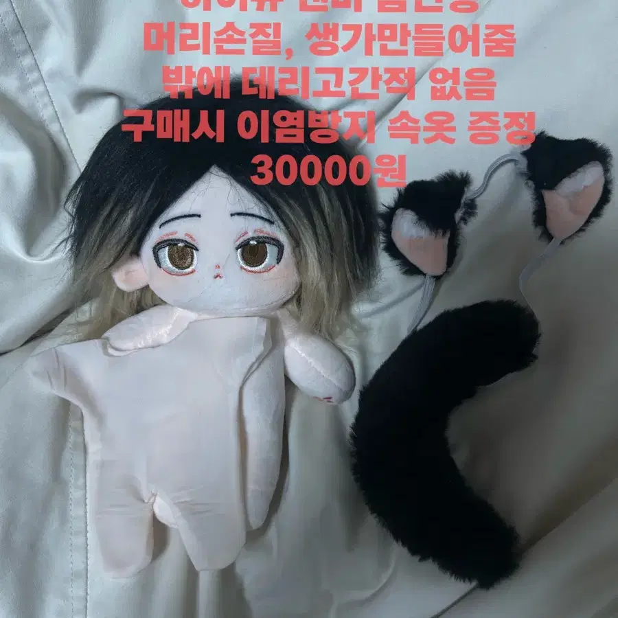 하이큐 켄마 20cm 솜인형