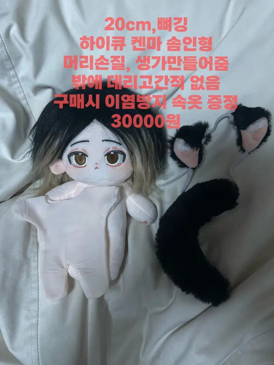 하이큐 켄마 20cm 솜인형