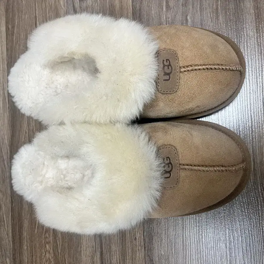 어그 ugg 250