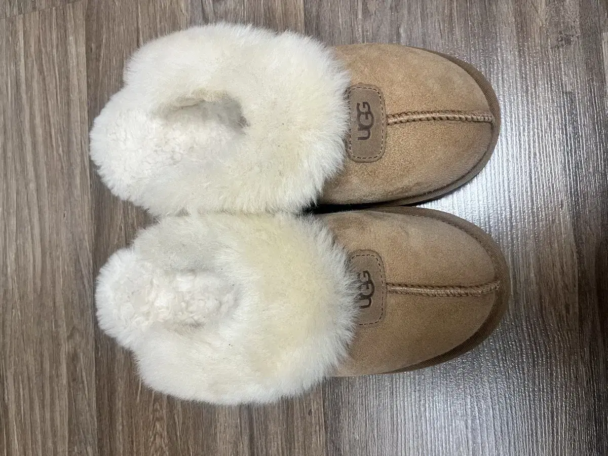 어그 ugg 250