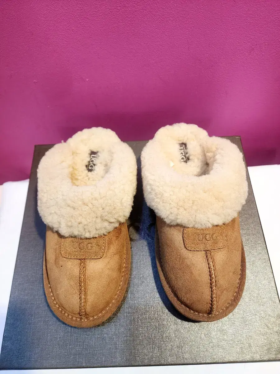 UGG 슬리퍼/EU39 (245)