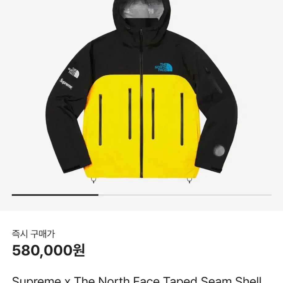 22fw슈프림 노스페이스 taped seam shell 고어텍스 자켓