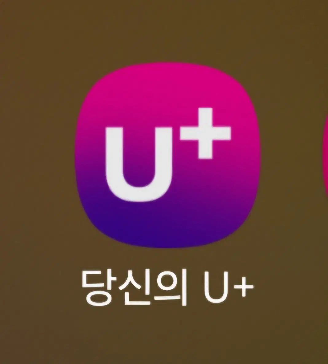 LG U+ 데이터