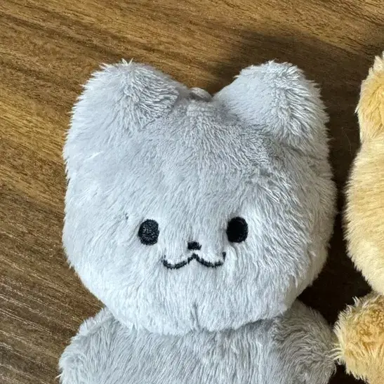 더보이즈 주연 10cm 인형 쥬냥이 양도