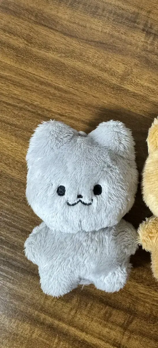 더보이즈 주연 10cm 인형 쥬냥이 양도