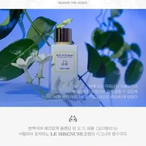 니치향수) 피오르 피오레 EDP 100ml