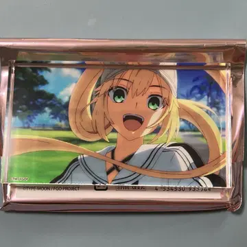 FGO 페스티벌 랜덤 아크릴 블록 알트리아