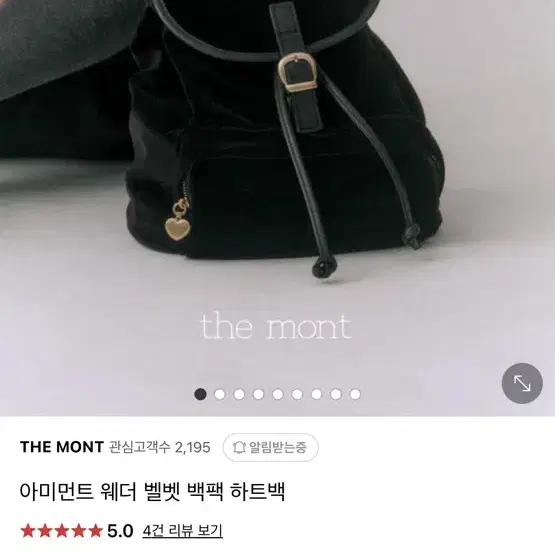 아미먼트 벨뱃 백팩