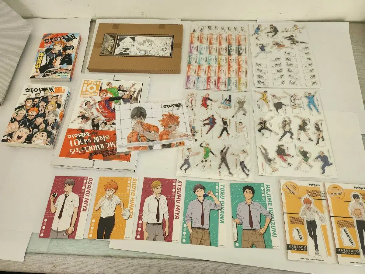 Haikyuu 10th Cycle Limited Edition