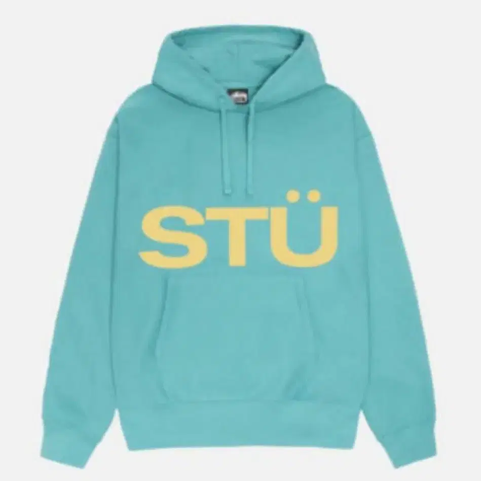 Stussy ALL CAPS HOODIE 59