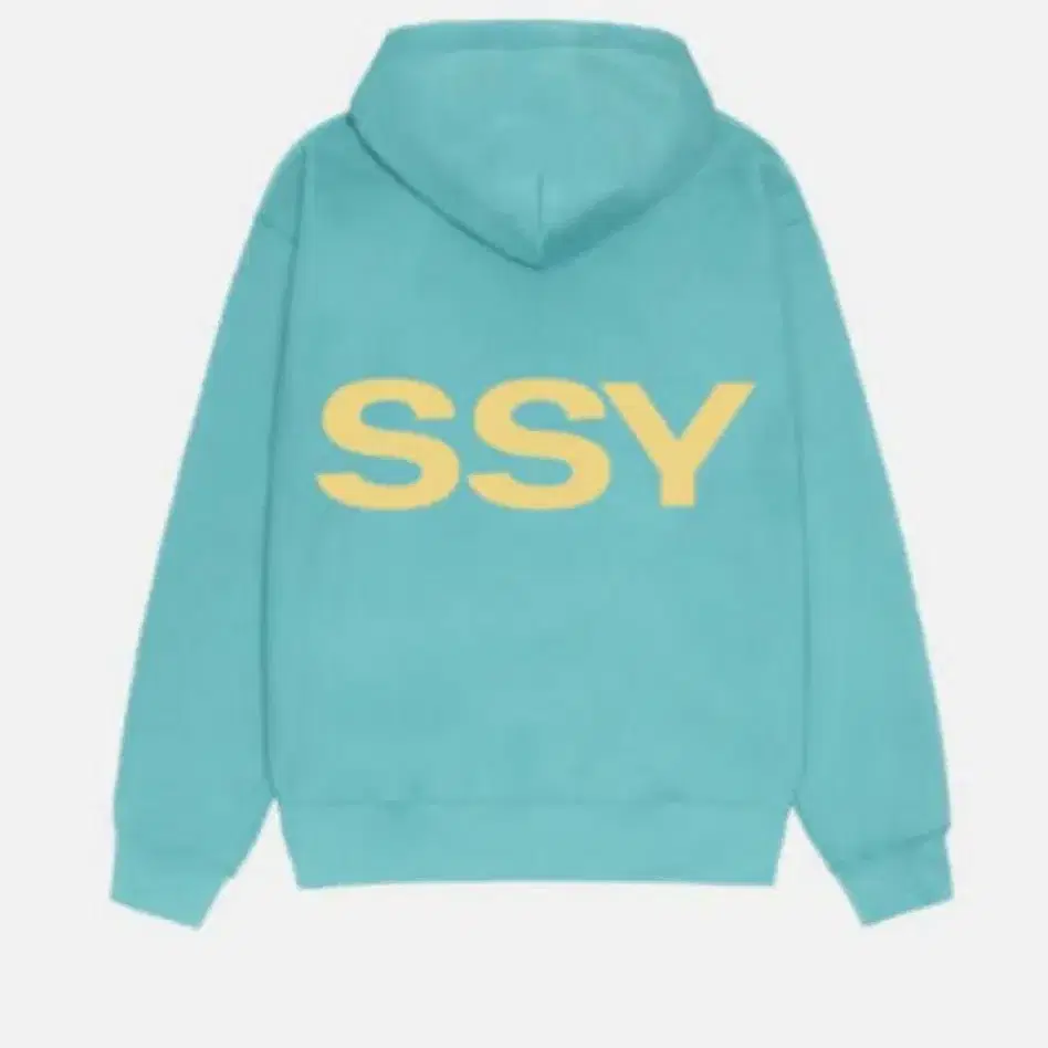 Stussy ALL CAPS HOODIE 59