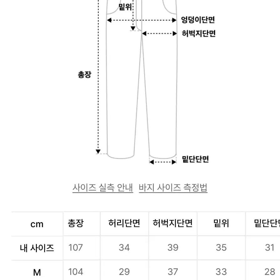 퓨처랩 SNOW PANTS - BLACK