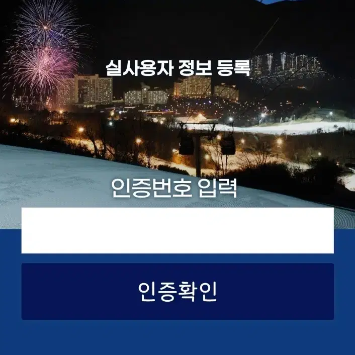 비발디파크 시즌권 미등록 팝니다.