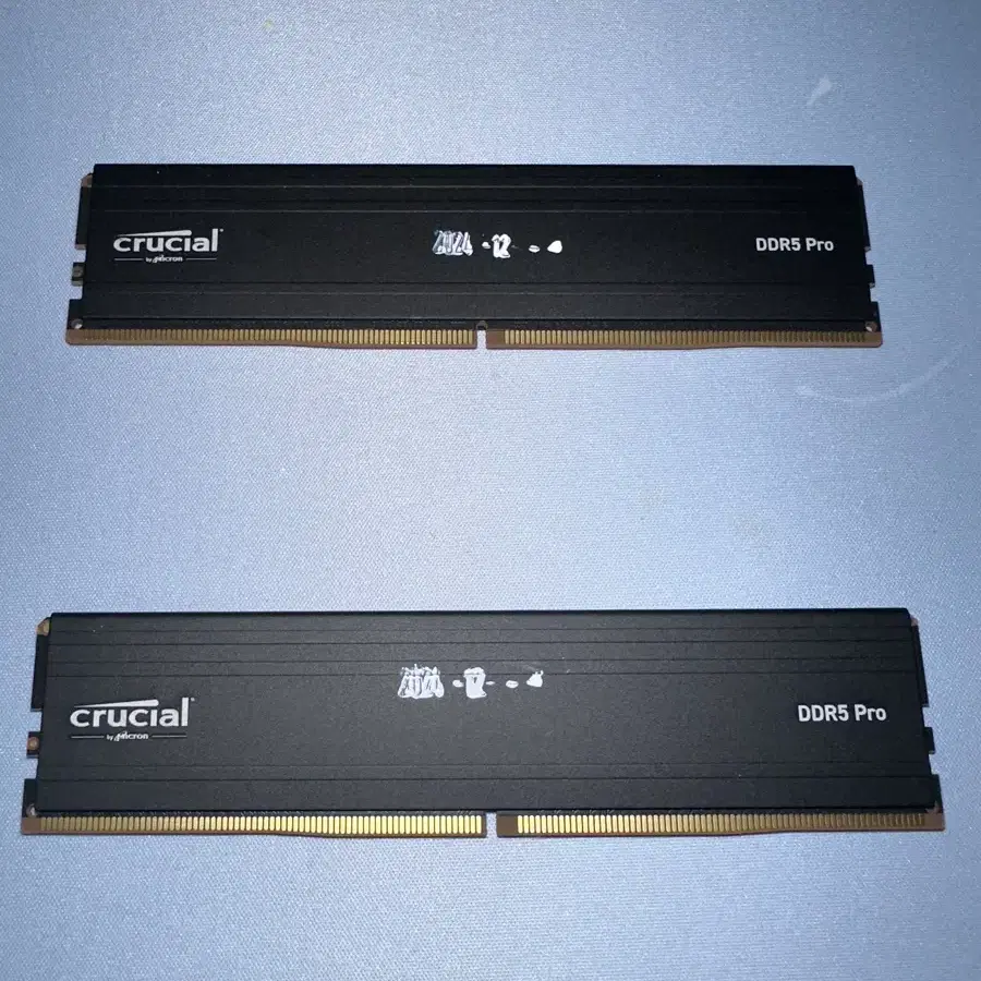 마이크론 크루셜 DDR5 5600 CL46 PRO 아스크텍