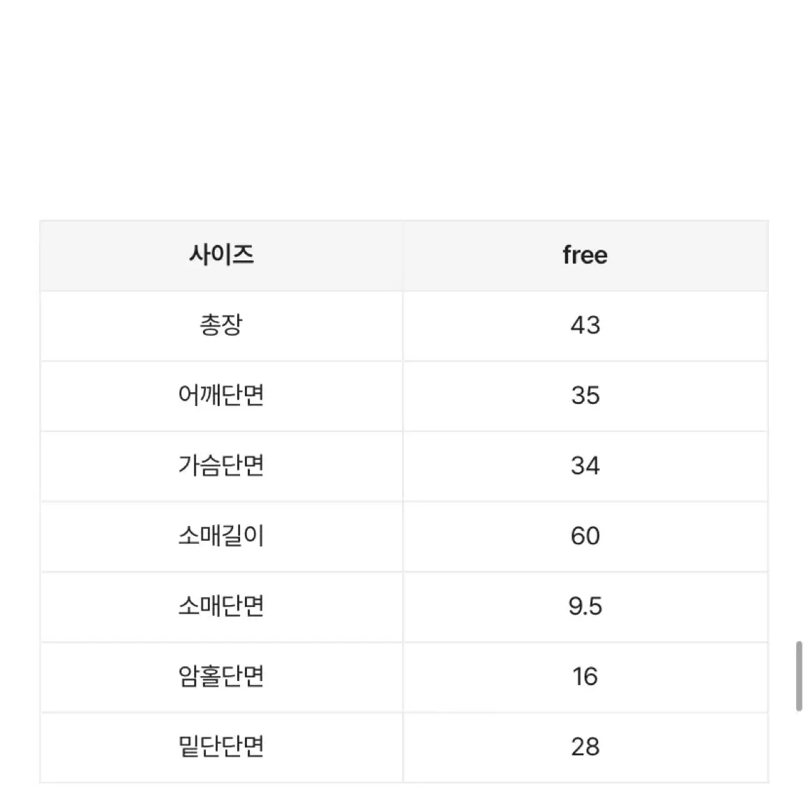 selez 원 오프숄더 기본 티셔츠 원오프