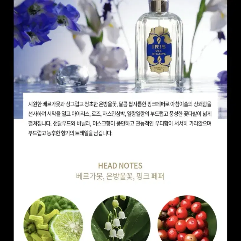 우비강 아이리스 데 샹 오드 빠르펭 100ml