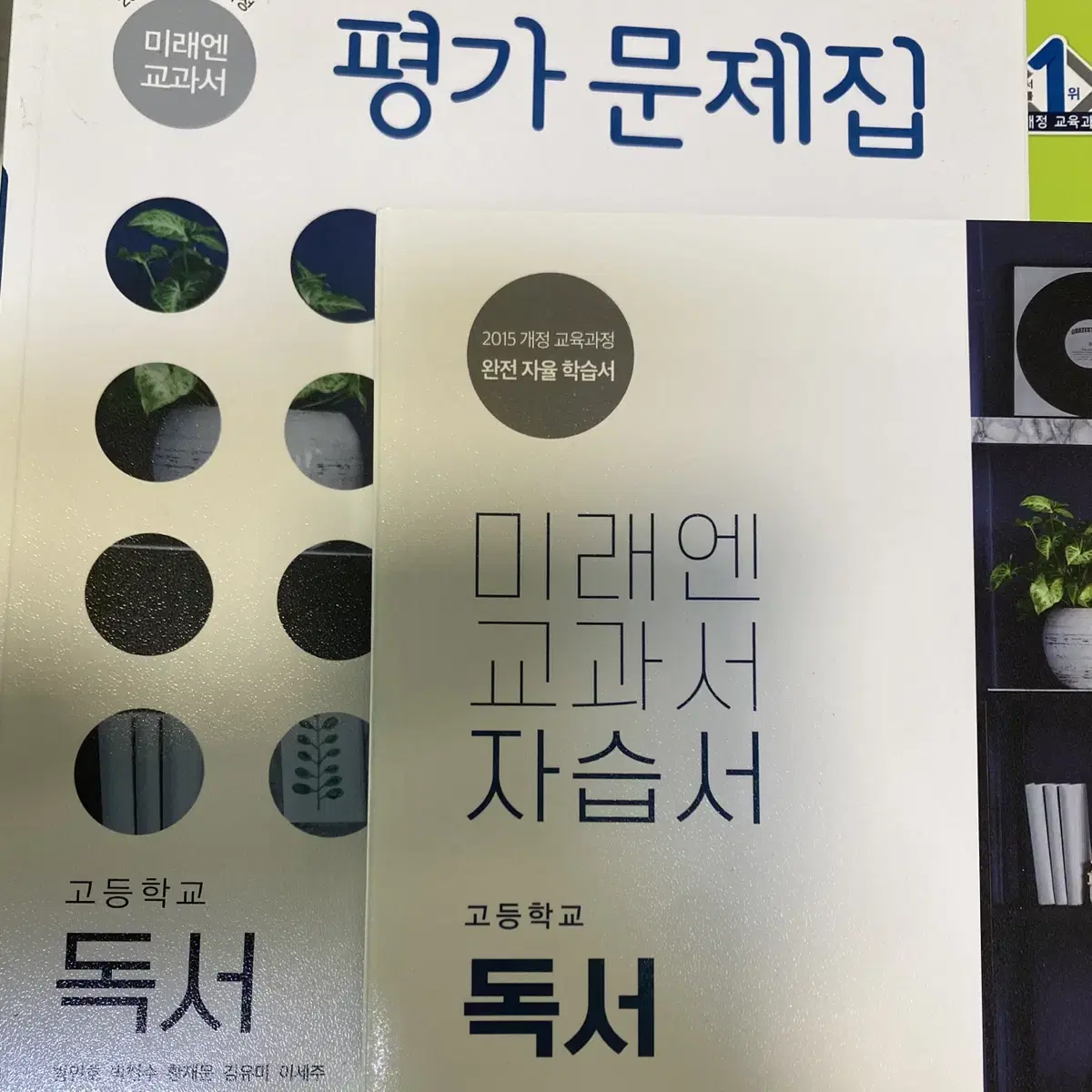 미래앤 독서 자습서, 평가문제집 (고2 국어