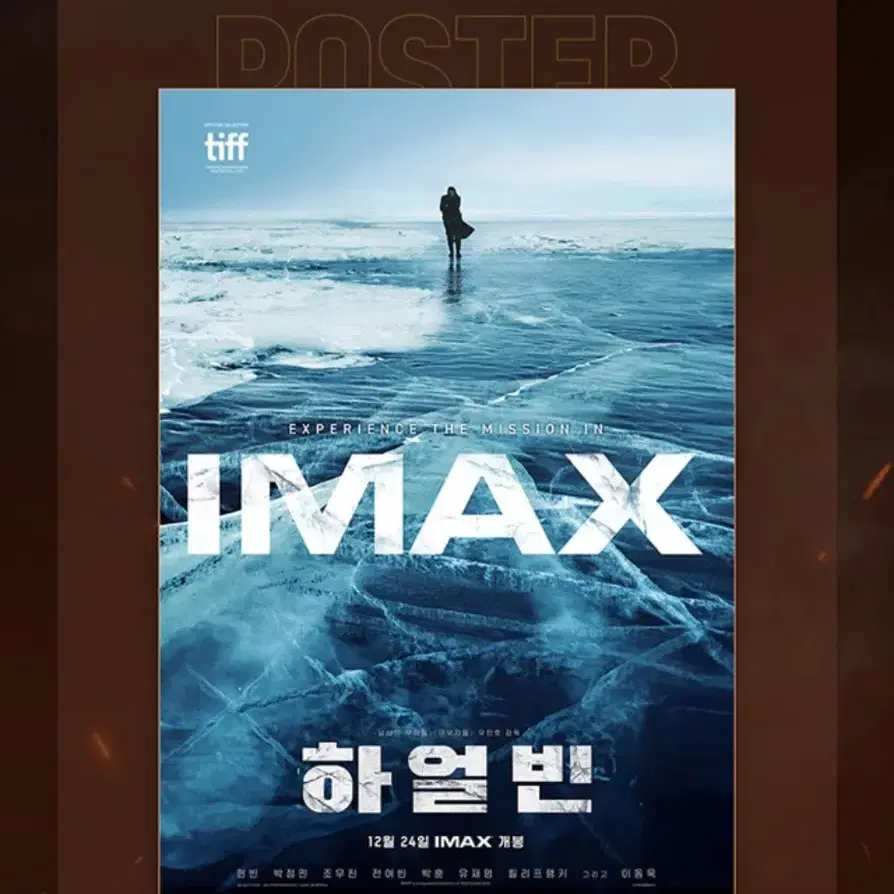 하얼빈 imax 포스터