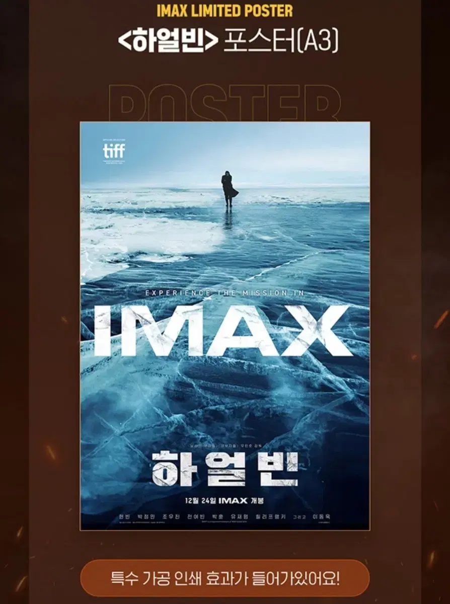 하얼빈 imax 포스터