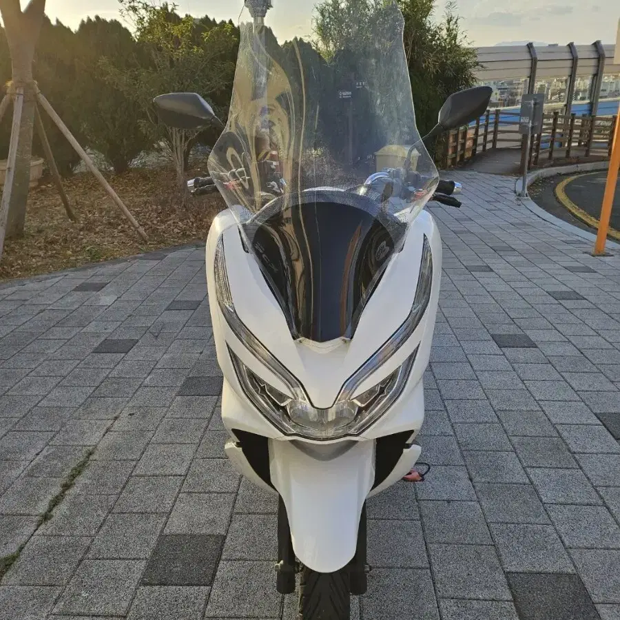 부산 PCX125 20년식 차량 판매합니다