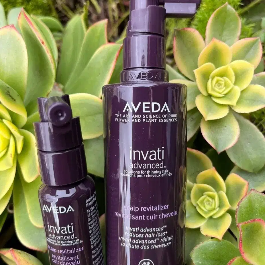 AVEDA 인바티 어드밴스드 세럼 150ml