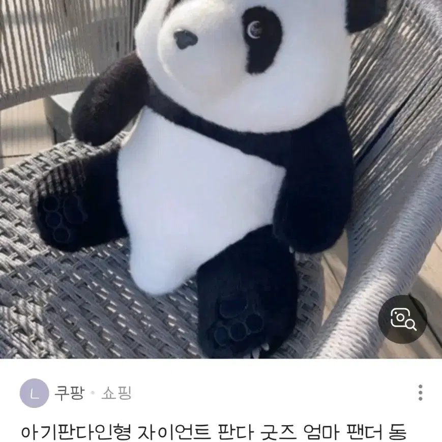 푸바오