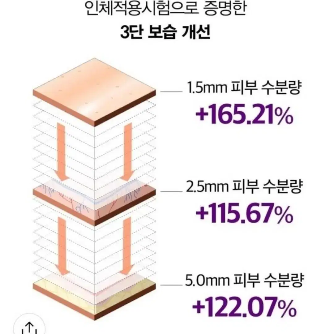 모공세럼