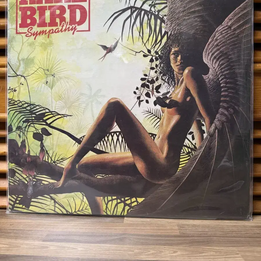 Rare Bird : Lp.