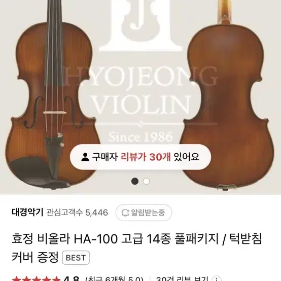 효정 비올라 HA-100 16 사이즈 판매합니다