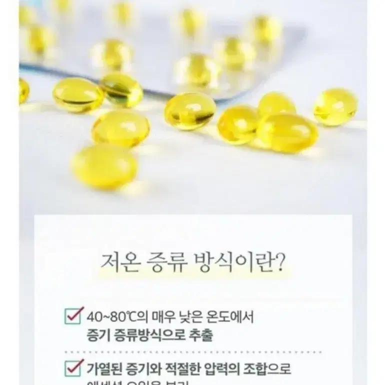 위건강 매스틱 오일 캡슐