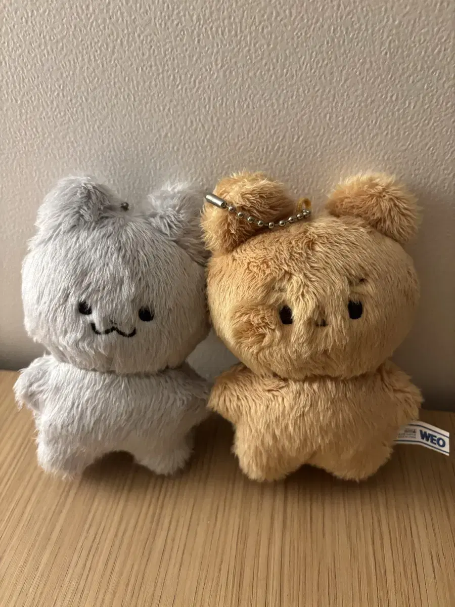 달곰이 쥬냥이