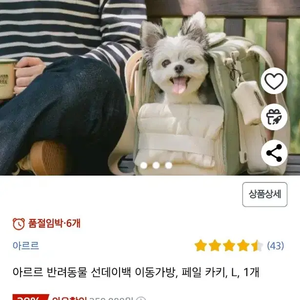 아르르 강아지 이동가방