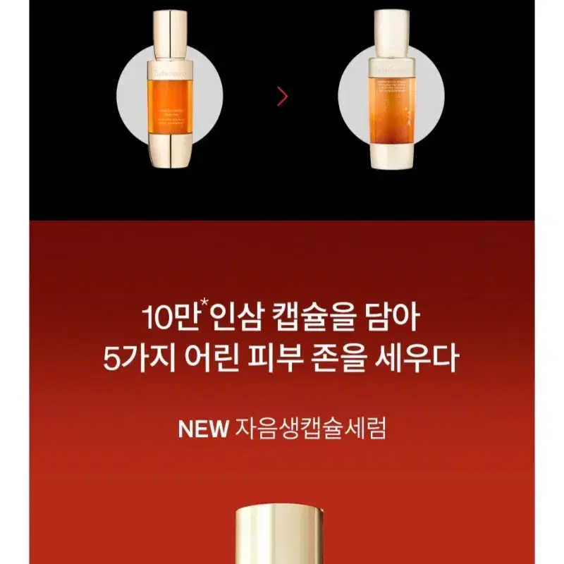 [리뉴얼]설화수 자음생캡슐세럼 50ml 8ml