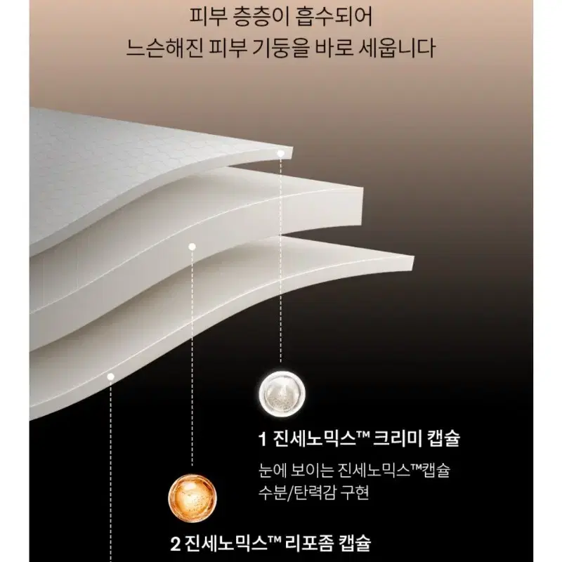 [리뉴얼]설화수 자음생캡슐세럼 50ml 8ml