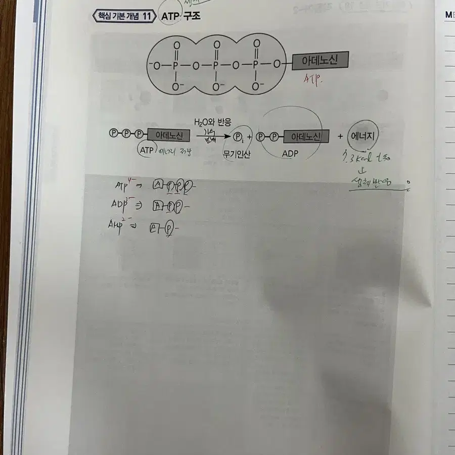 김영편입 생물교재 팝니다.