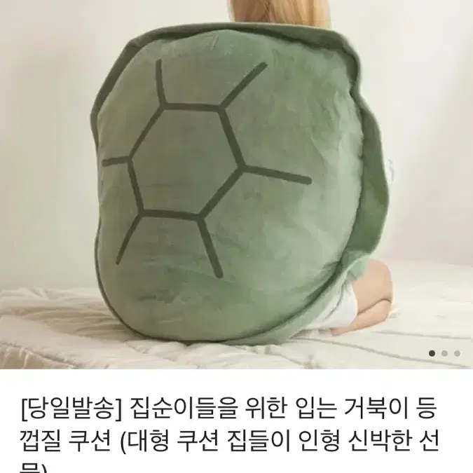 거북이등딱지인형