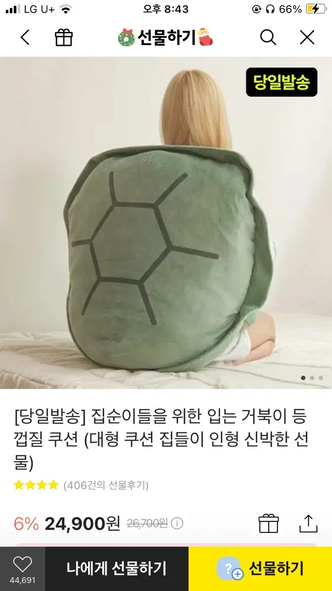 거북이등딱지인형