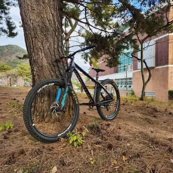 다트무어 호넷 mtb 자전거