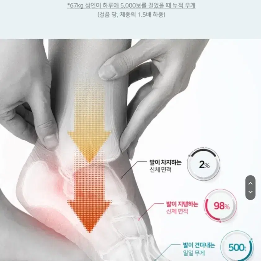 요족이신분 족저근막염 아치가 무너지신분 슬로우랩 발에서 시작하는 아치패드